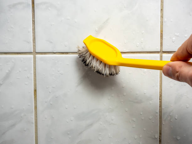 Best Local Mold Removal Service  in Vanceburg, KY