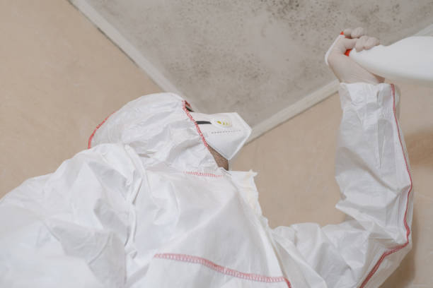 Best Mold Cleaning Services  in Vanceburg, KY